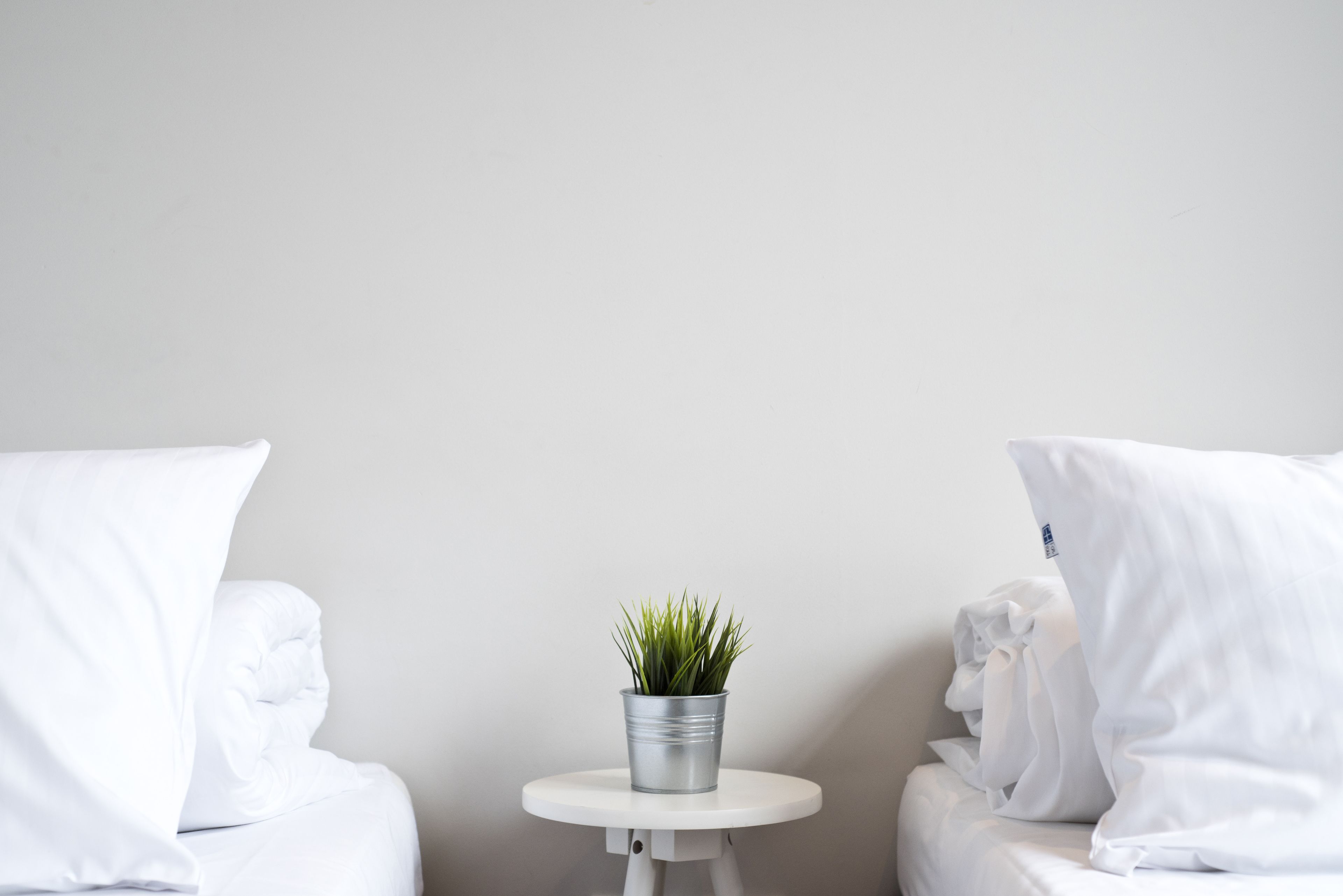 A minimalist room with a white bed, a small white table, and a potted plant.