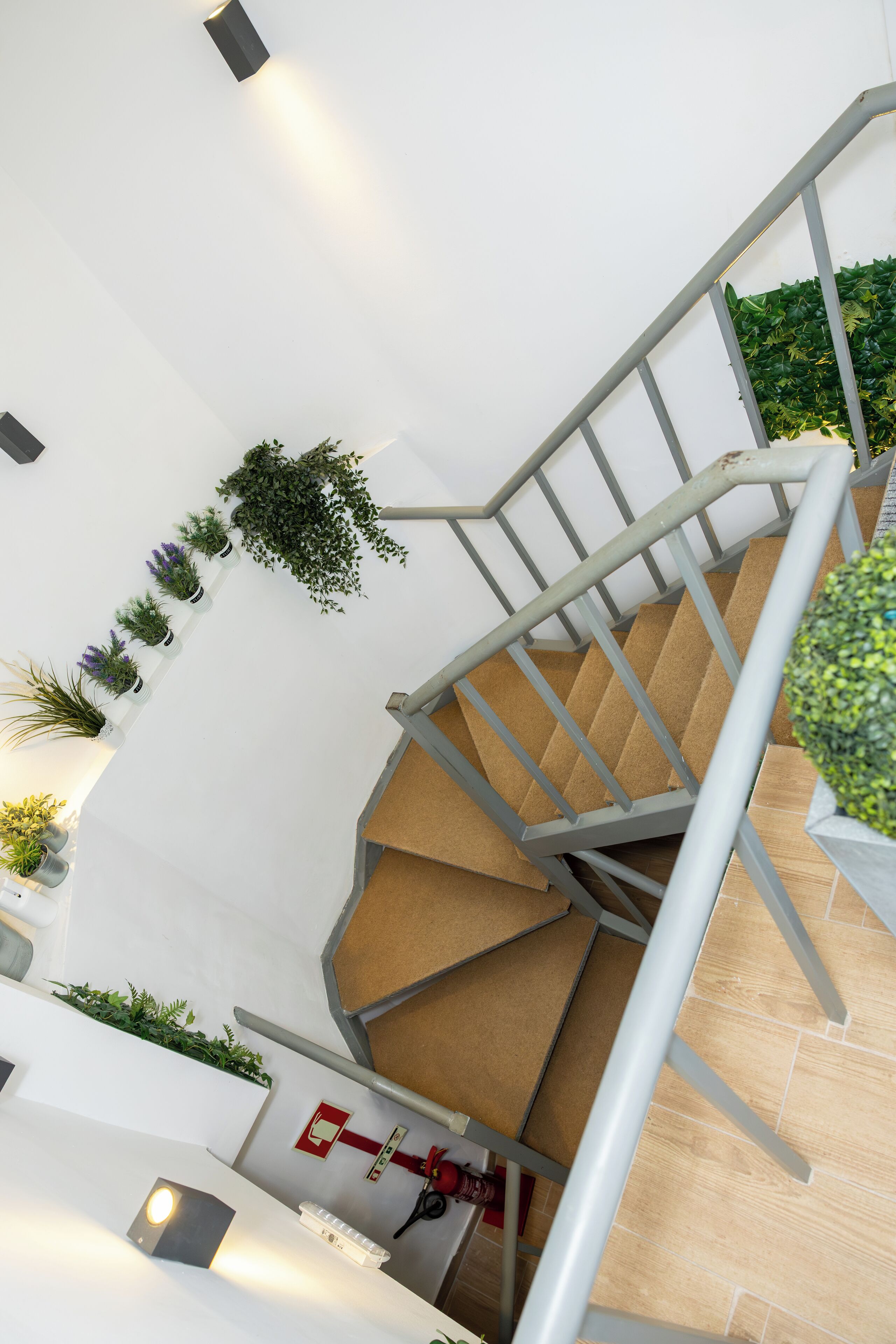 A staircase with metal railings, surrounded by potted plants and a fire extinguisher.