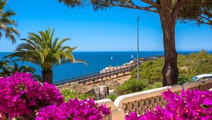 A coastal view with a wooden walkway, palm trees, and bougainvillea flowers. - Algar Seco Parque (Lagoa)