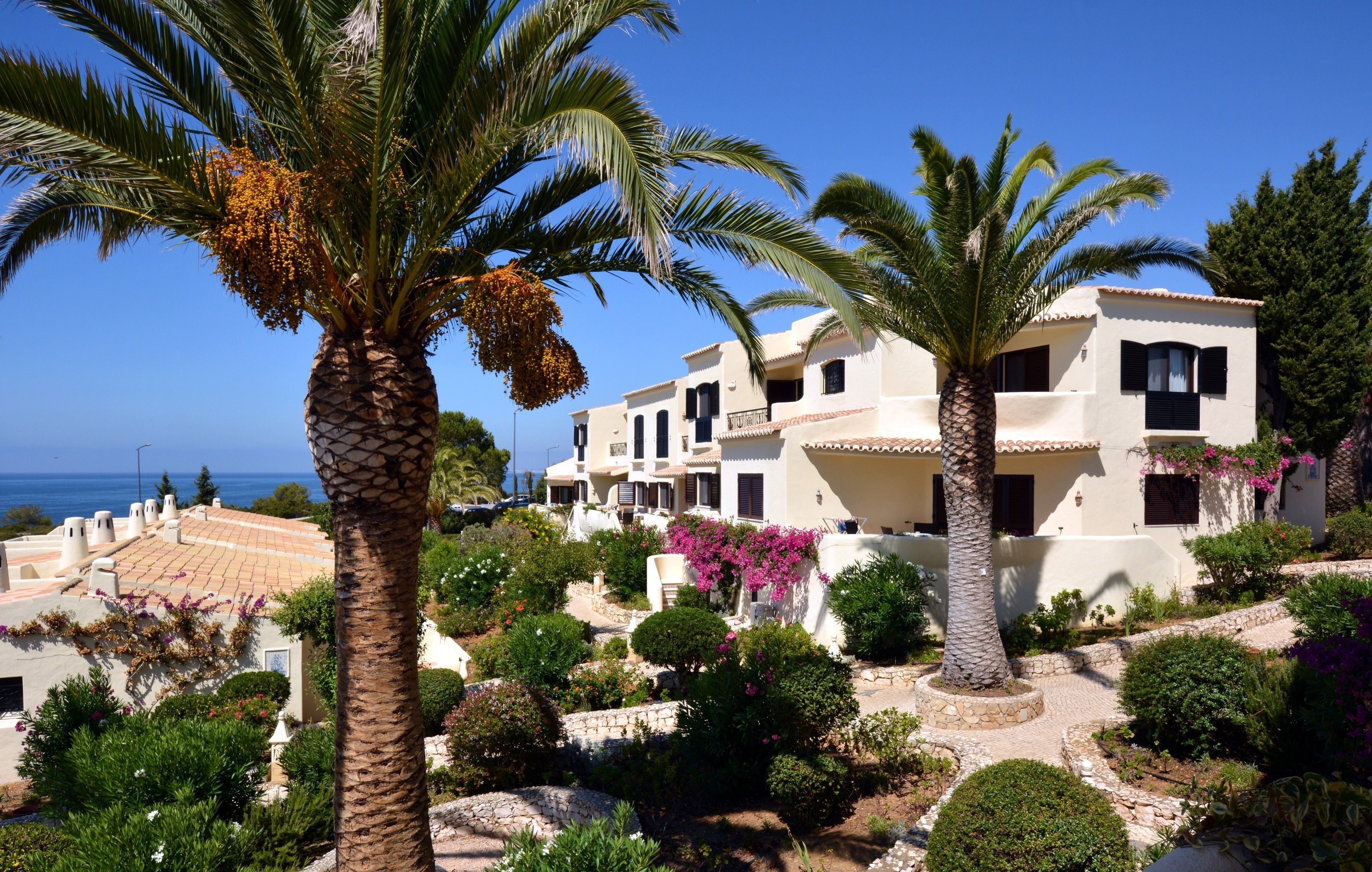 A coastal building with multiple balconies, surrounded by palm trees and flowering plants.