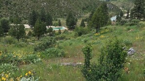 Property grounds - Haven Hot Springs (Lowman)