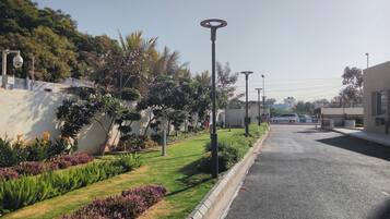 A street with a sidewalk lined with plants and street lamps.