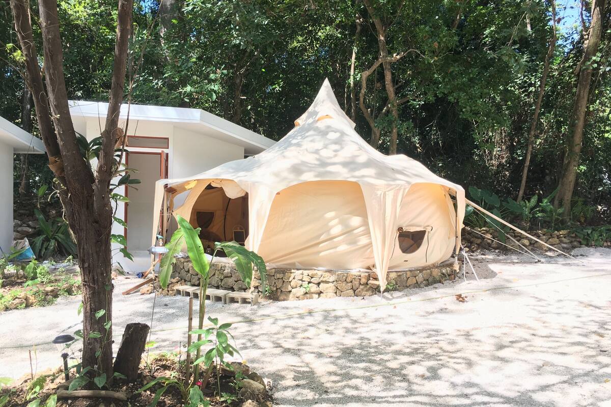 A tented accommodation with a stone base, surrounded by trees and greenery.