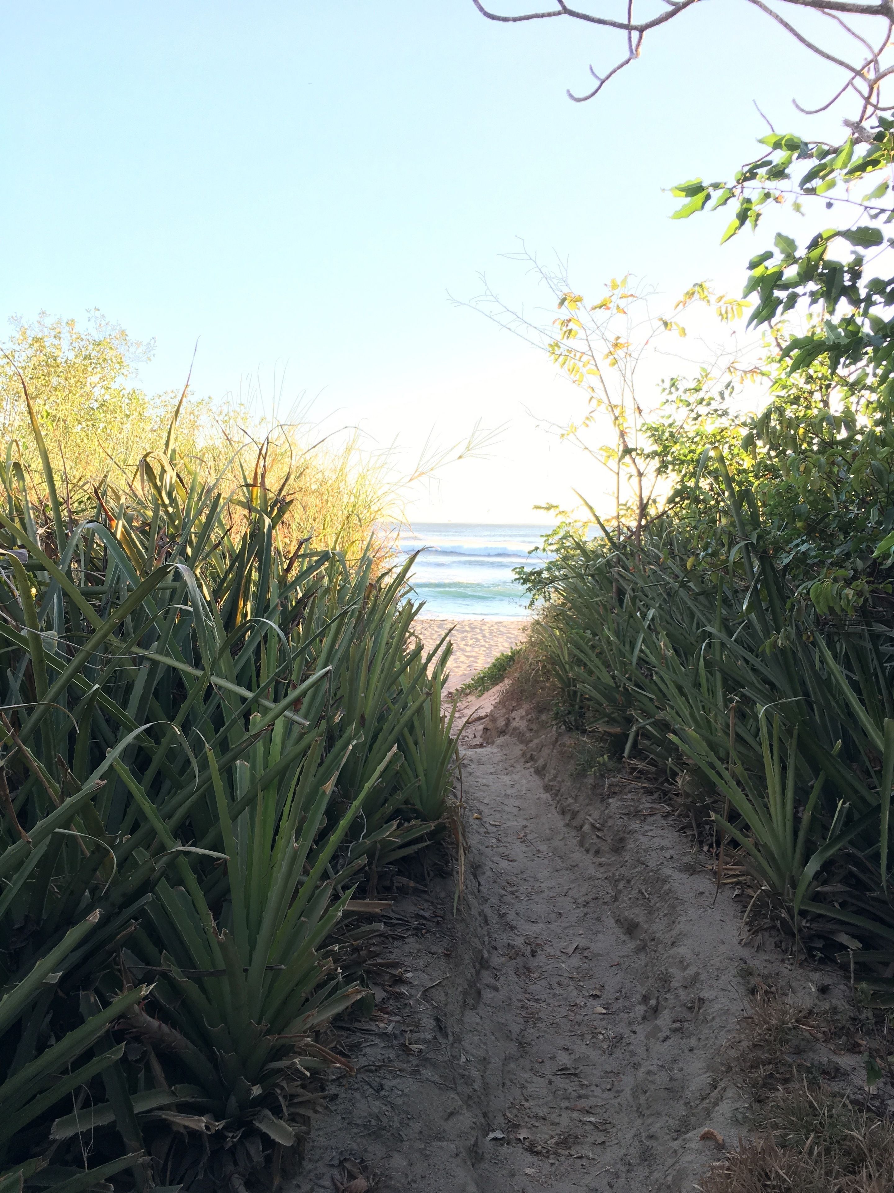 beach nearby, beach yoga, rowing
