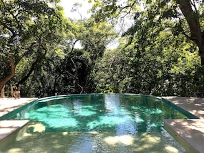 A clear swimming pool surrounded by lush green trees.