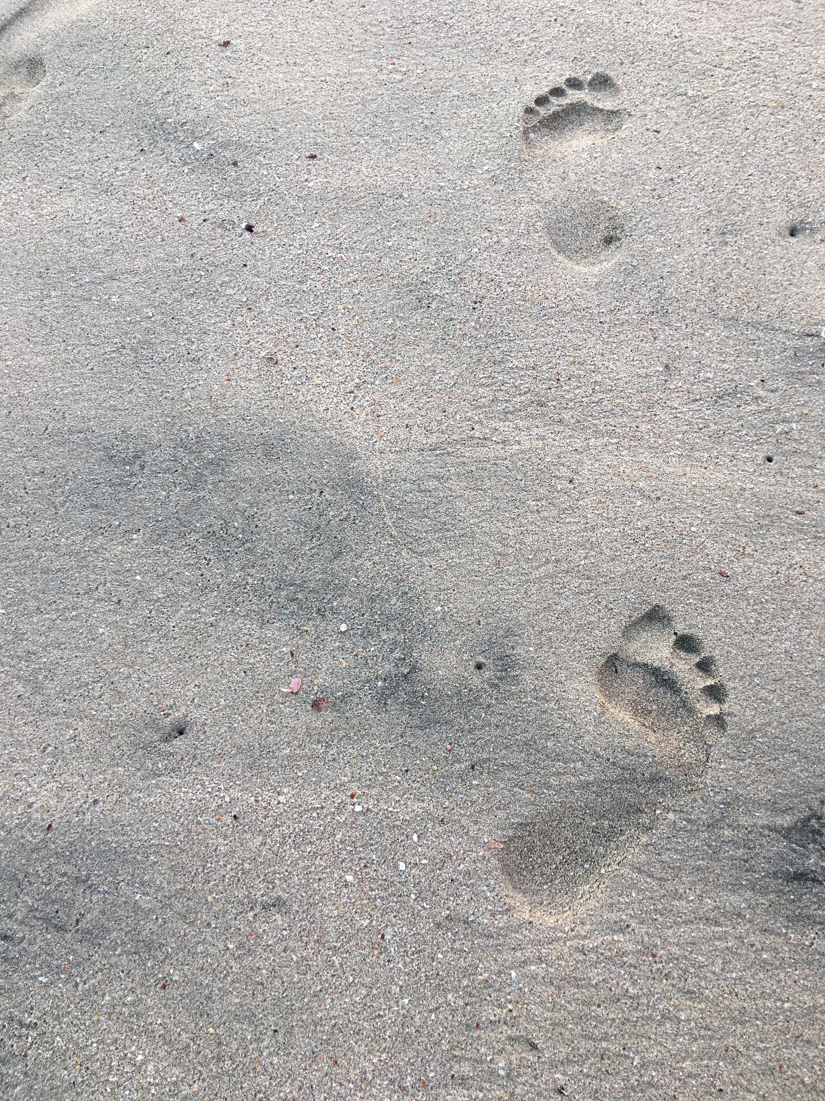 beach nearby, beach yoga, rowing