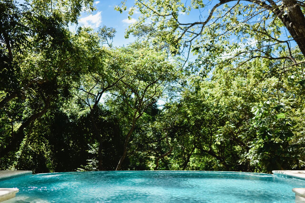 Una piscina rodeada de frondosos árboles verdes.