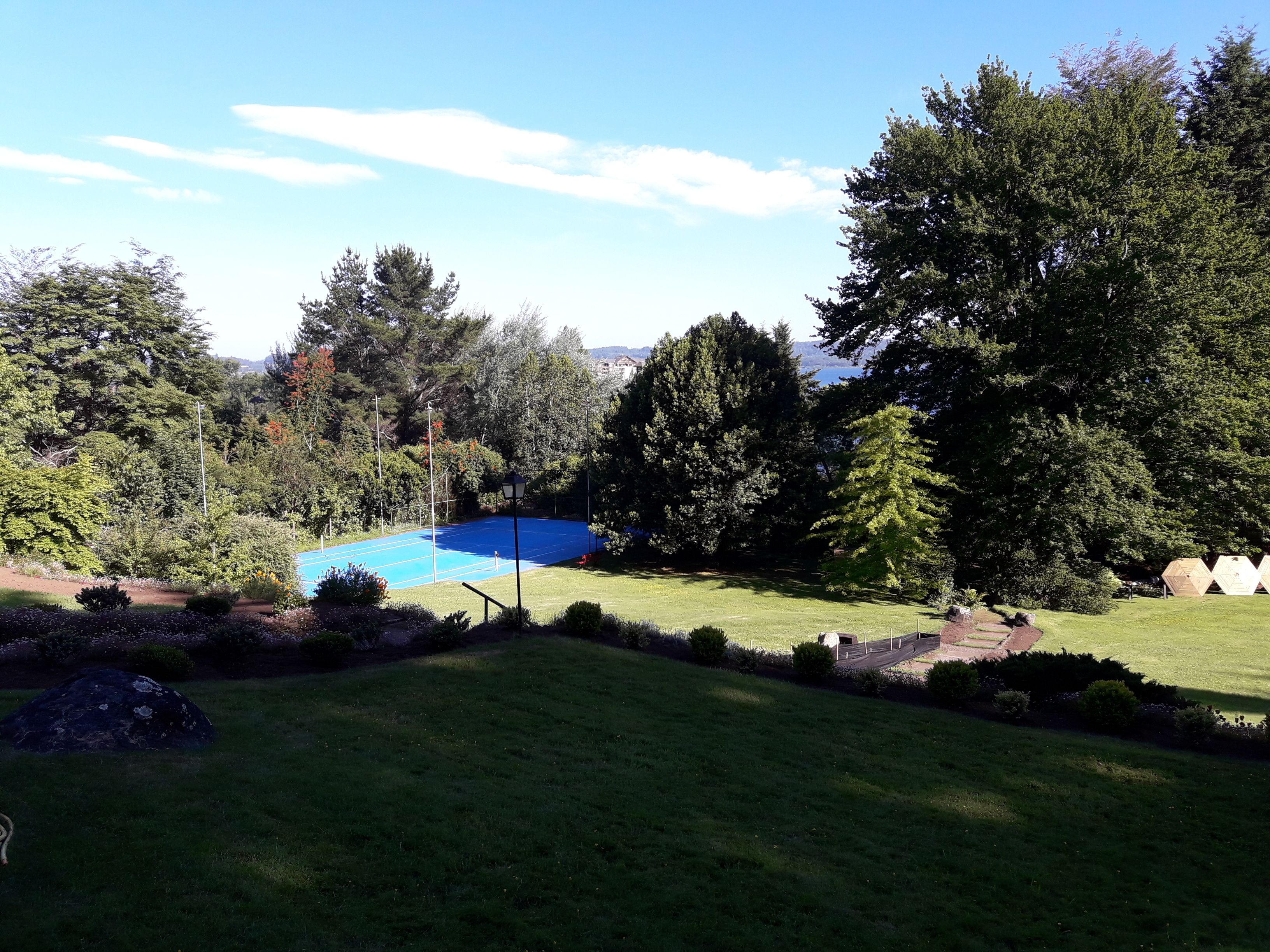Un jardín bien cuidado con una piscina azul, rodeado de abundante vegetación y árboles.