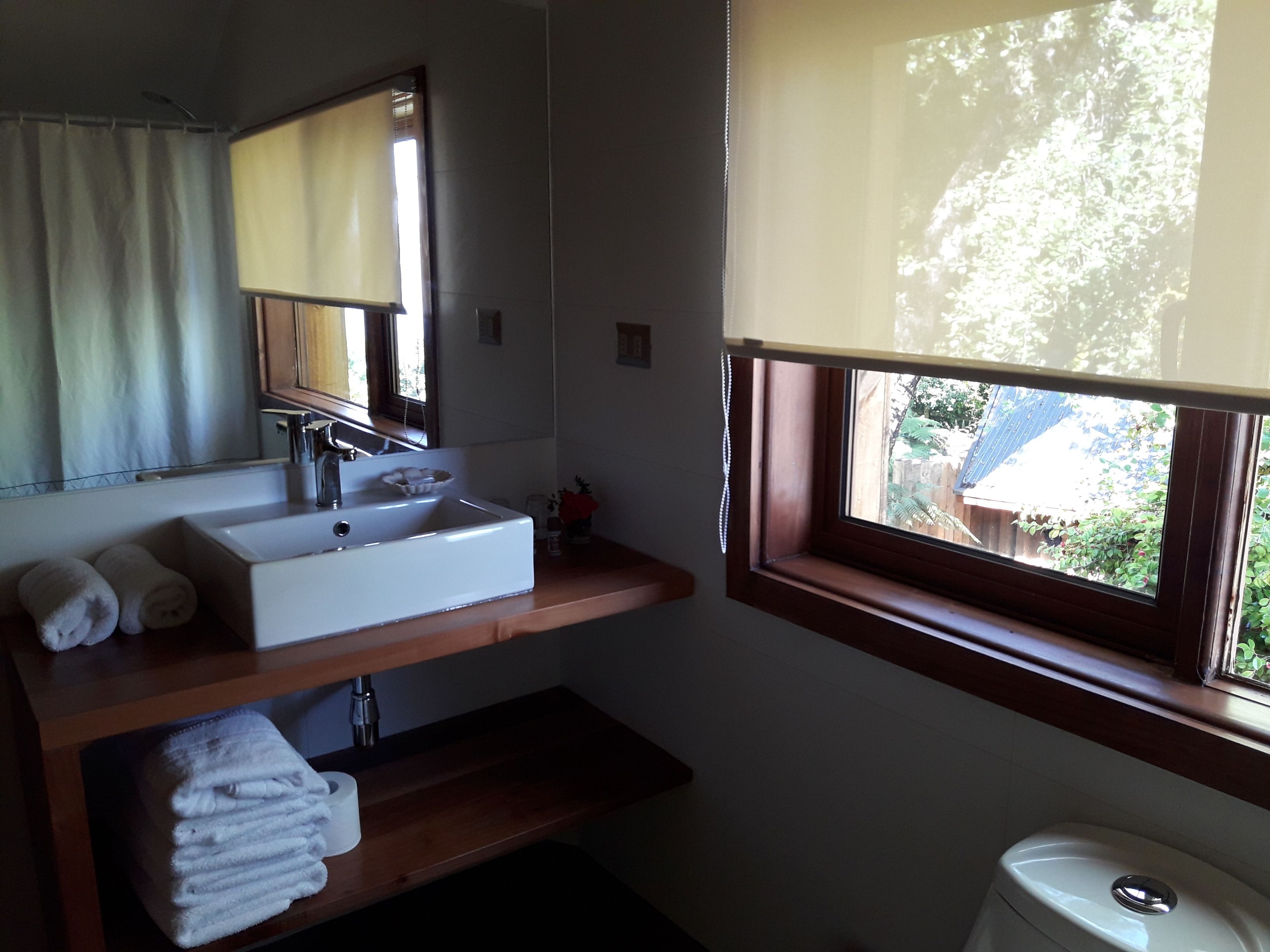 A bathroom with a large mirror, a sink, and a window with a view of greenery outside.