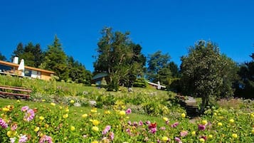 住宿地面