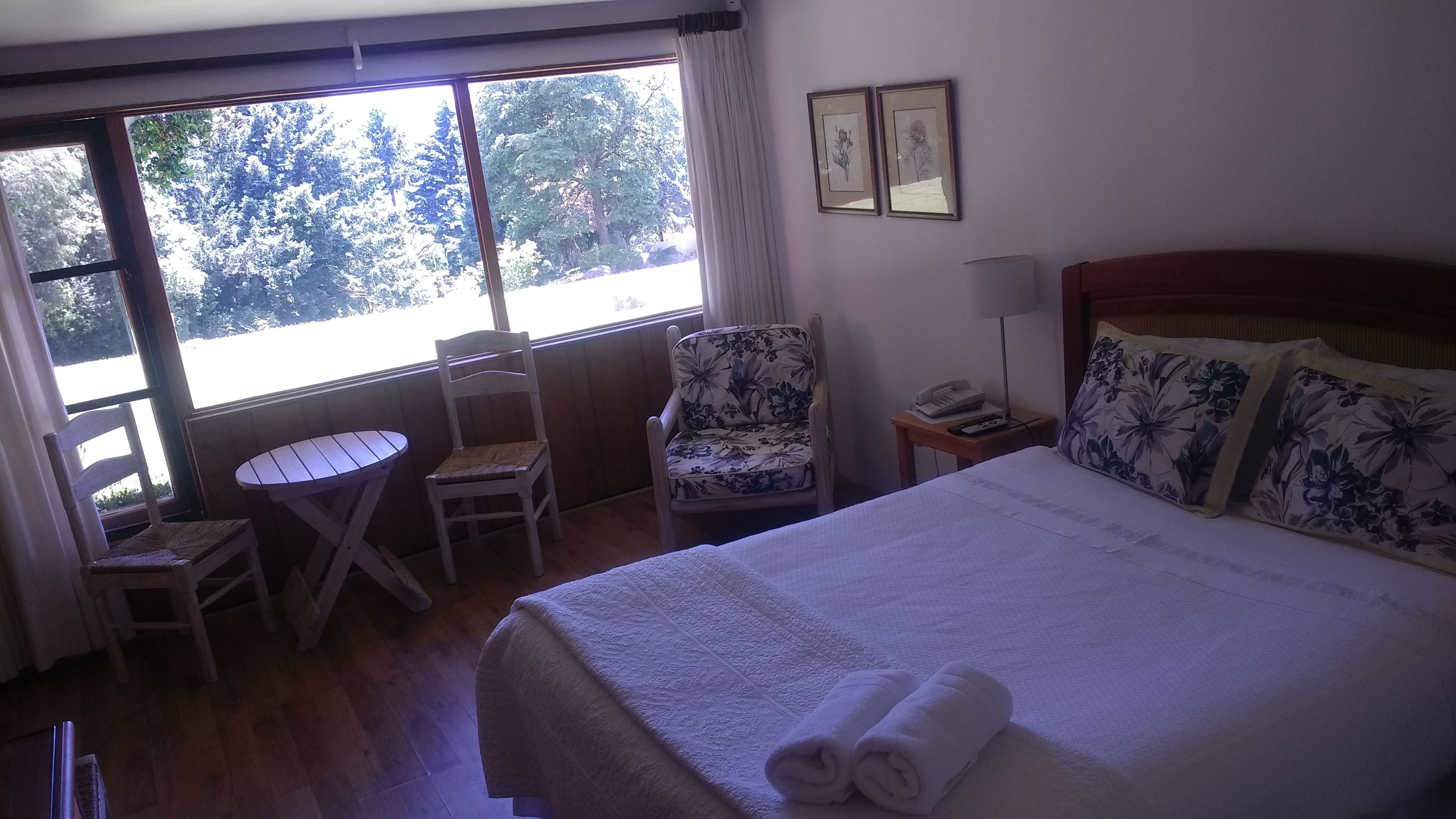 Habitación de hotel con cama, una silla, una mesita, una mesita de noche con lámpara y ventana con vista a árboles.