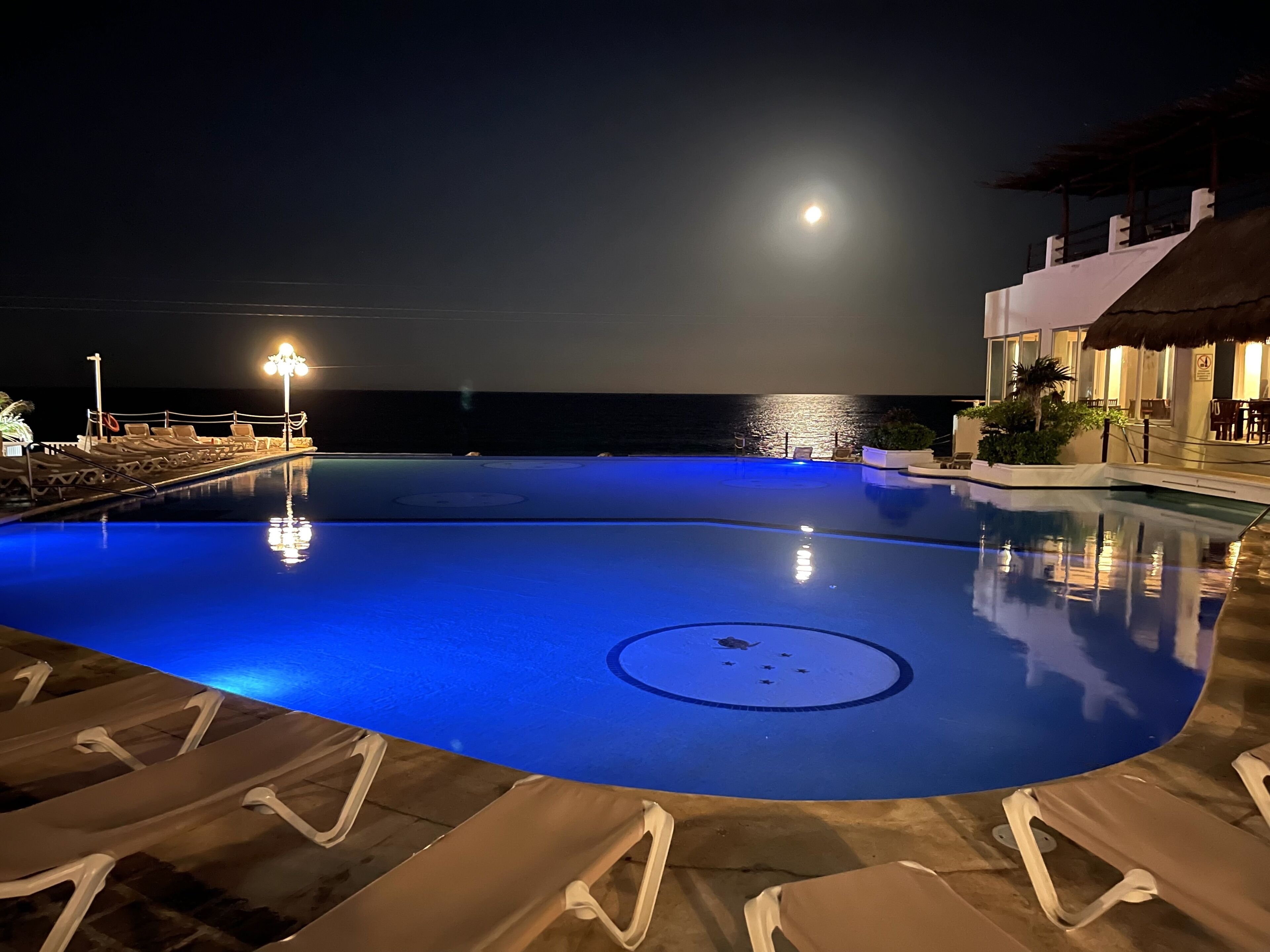 Suite, Ocean View (Increible Vista al Mar) | Terrace/patio