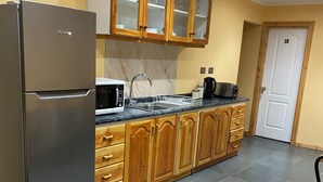 Una cocina compacta con armarios de madera, un refrigerador de acero inoxidable, un microondas y un lavamanos.