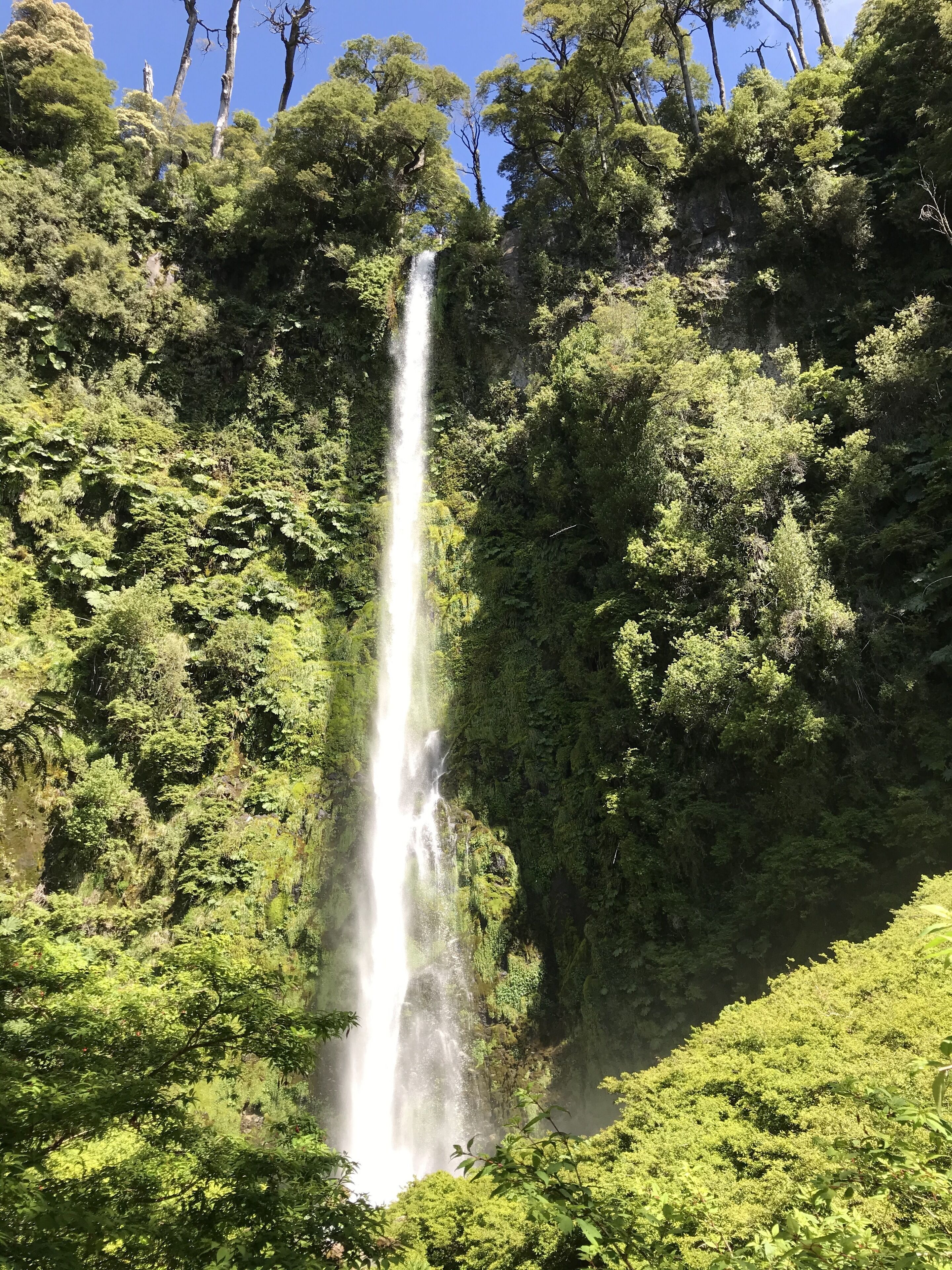 Foto - Hostal Graciela