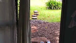 Ein Durchgang zu einem Garten mit einem Kiesweg, einem Paar Flip-Flops und einer Fußmatte.