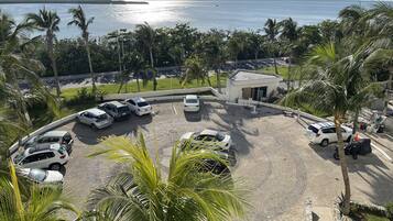 A parking area with several cars, surrounded by palm trees and a view of the sea.
