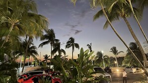 A parking area with several cars, palm trees, and a clear sky. - Ocean View Apartments – Delicia (Cancun)