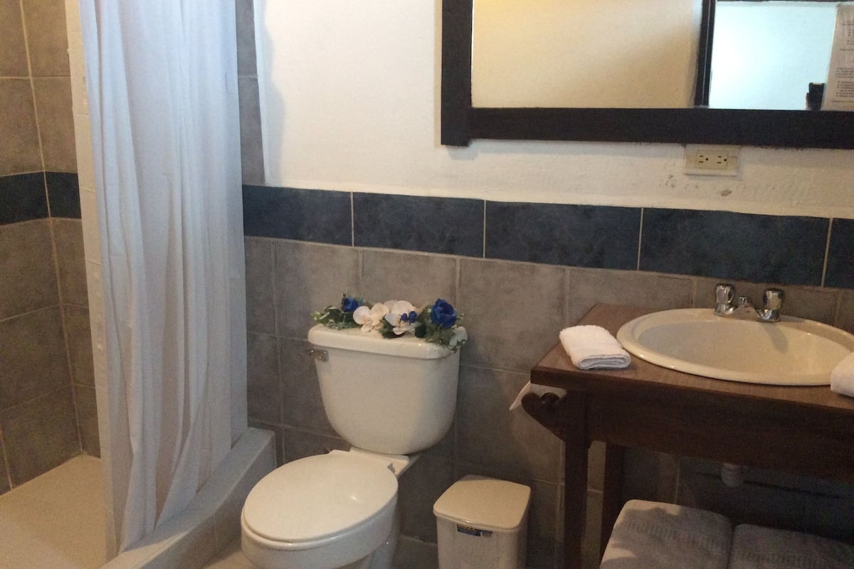 Un baño con inodoro, lavabo y cubo de basura.