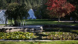 A pond with lily pads, a wooden deck, and a red-leaved tree. - Spacious Country Guest Apartment (Eugene)