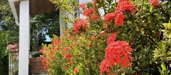 Private Charming Guesthouse in Little Havana