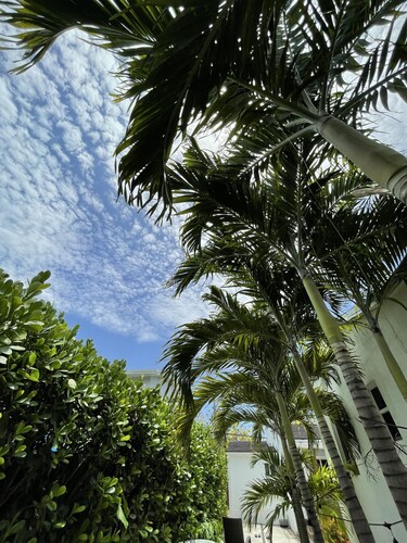 Private Charming Guesthouse in Little Havana