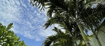 Private Charming Guesthouse in Little Havana