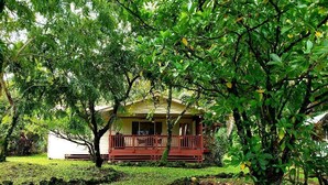 A house with a porch, surrounded by lush greenery and a well-maintained lawn. - Tropical Vacation Home in Hawaiian Beaches, Pahoa, HI (Pahoa)