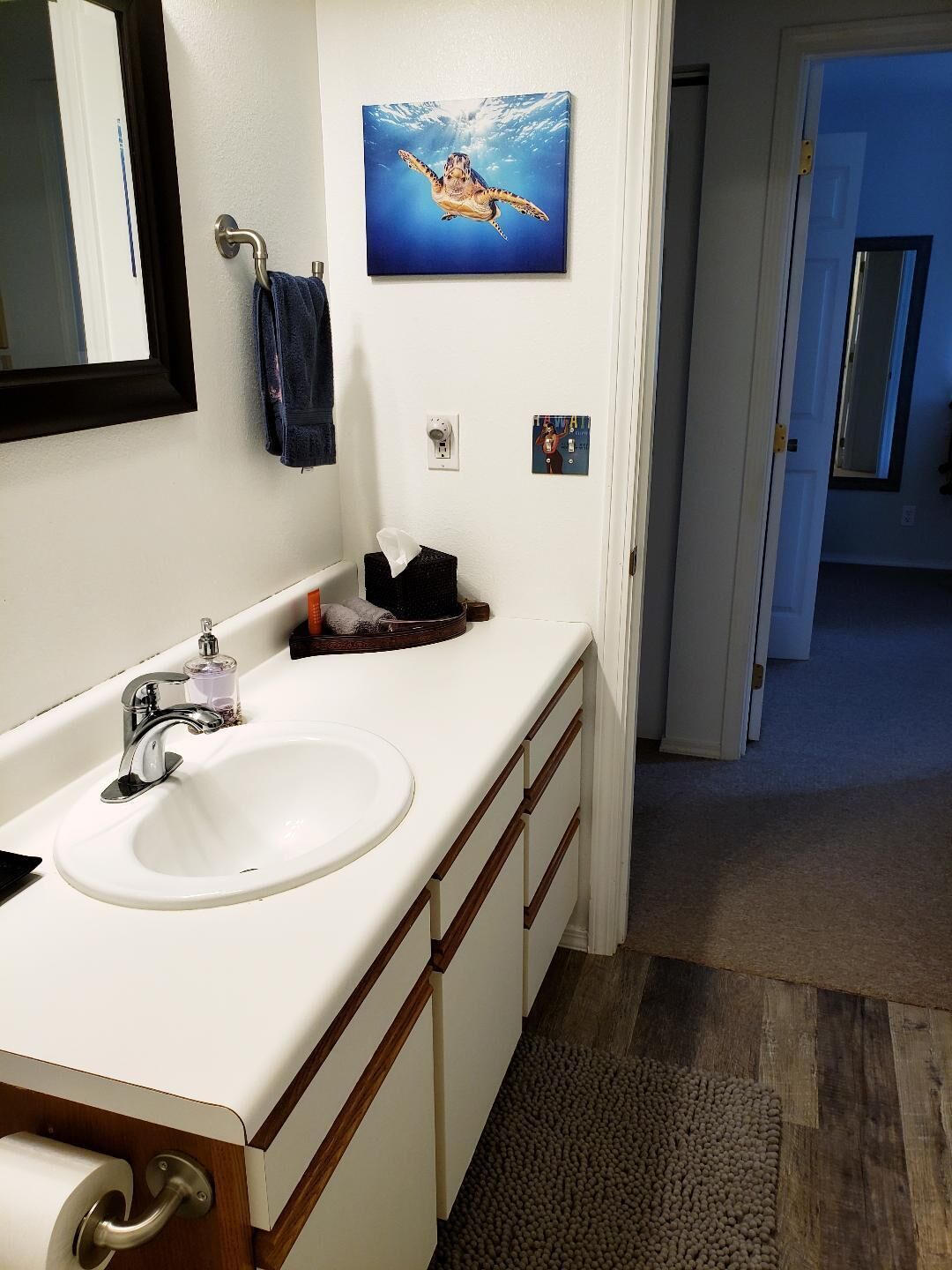 Une salle de bain avec un lavabo blanc, un miroir, un porte-serviettes et un tableau représentant une tortue en train de nager.