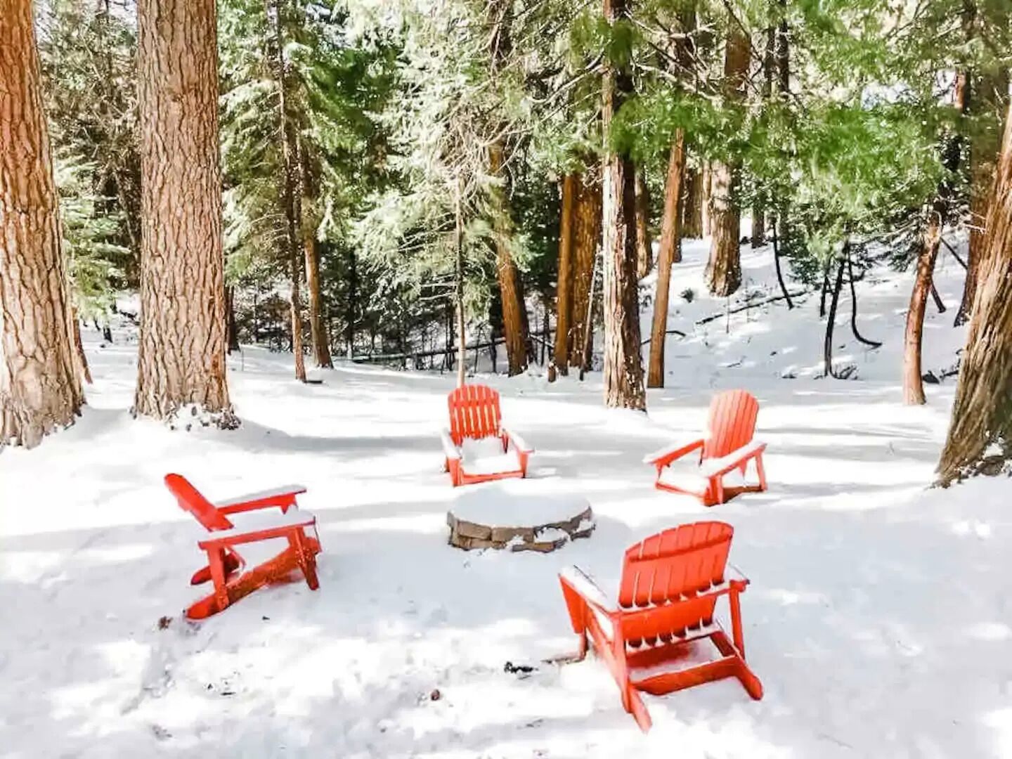 A snow-covered forest with four red Adirondack chairs arranged in a circle.