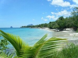 Una playa tropical con agua turquesa cristalina, una orilla de arena y exuberante follaje verde.