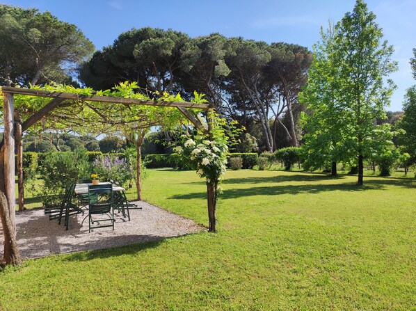 A garden with a pergola, a table with chairs, and a variety of trees and shrubs.