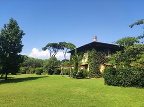 Exterior - Casale Pino in the Park, sea and city of art  (Migliarino)
