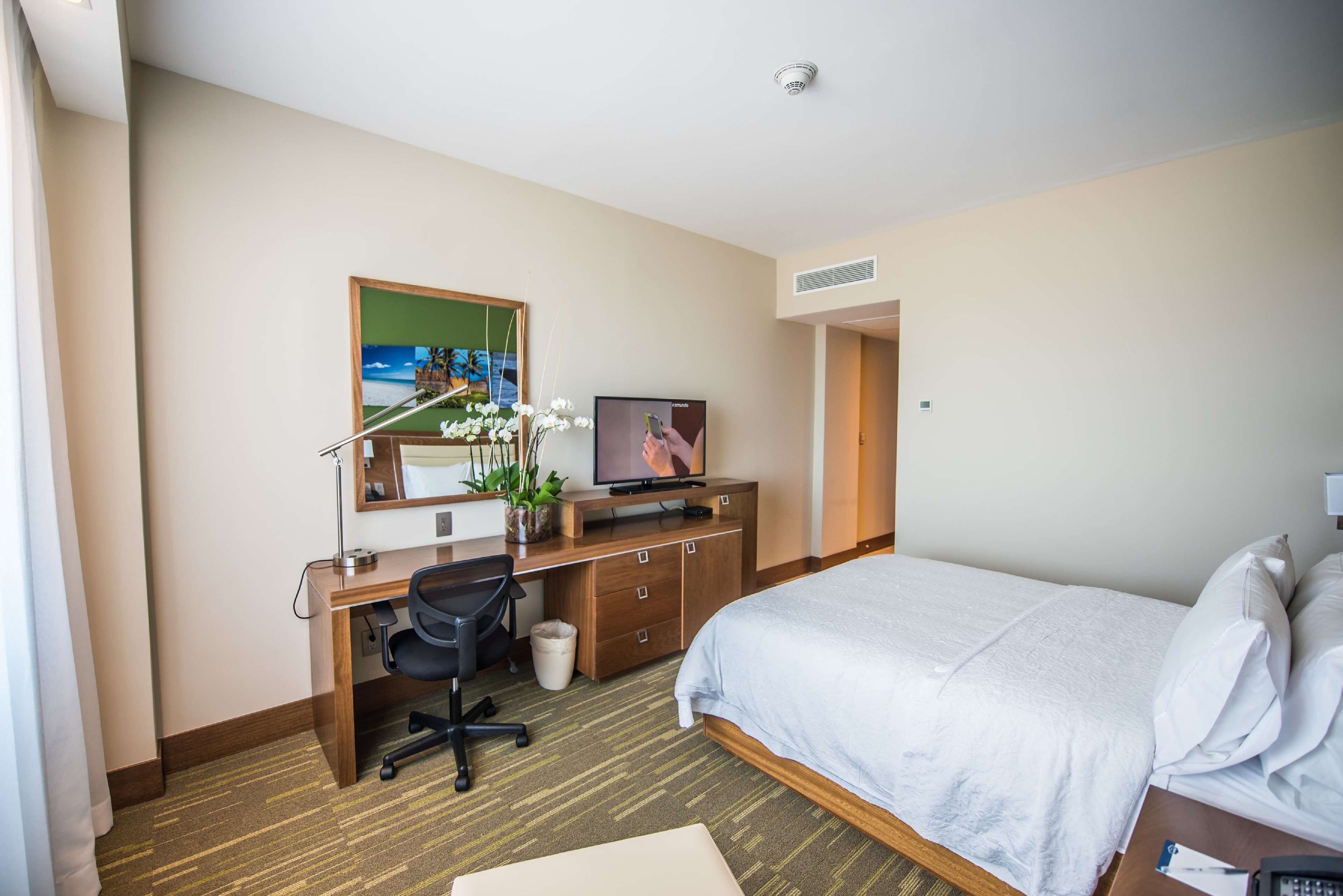 Een hotelkamer met een bed, bureau, stoel, televisie en een kleine potplant.