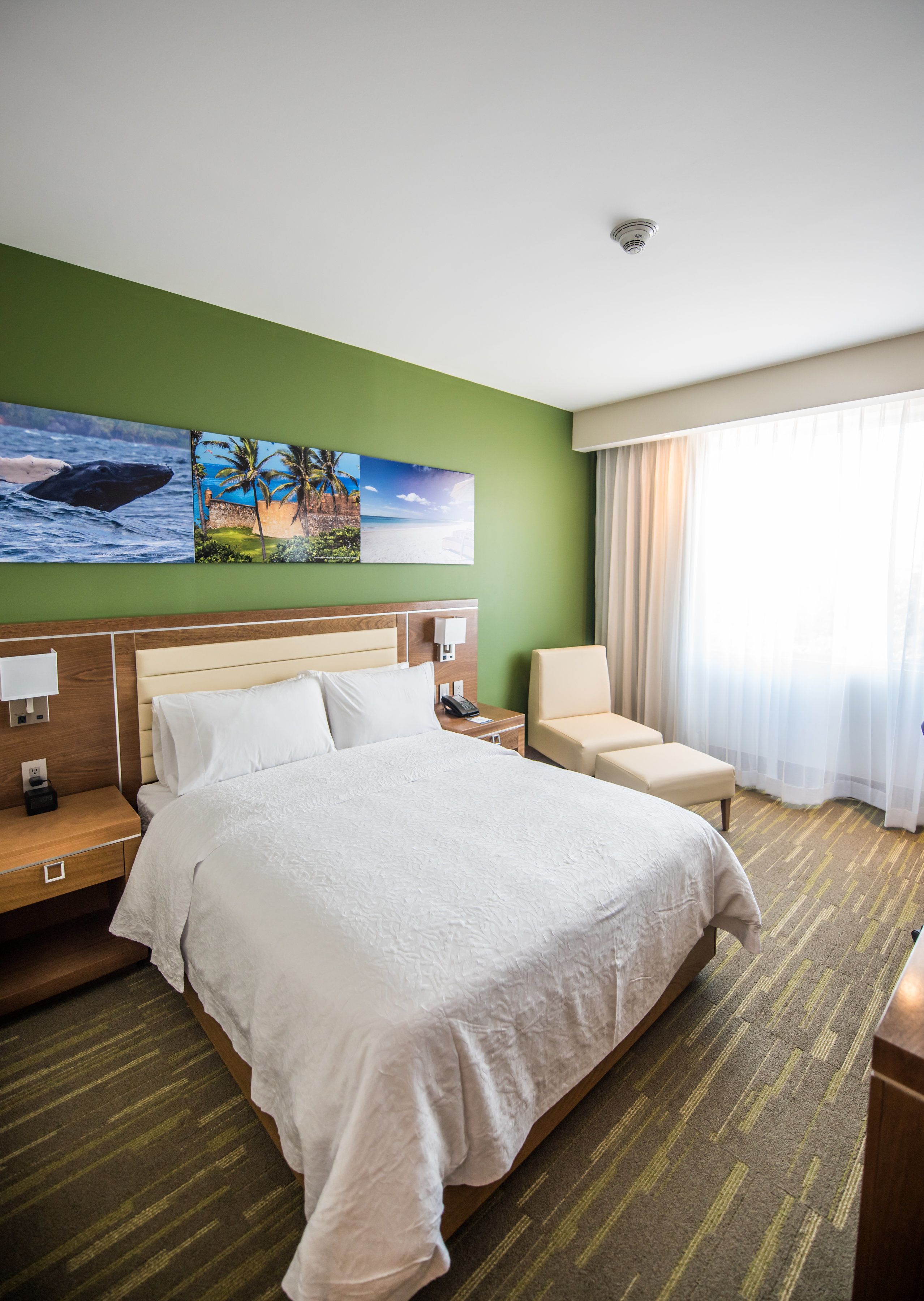 Ein Hotelzimmer mit einem großen Bett, einem Nachttisch, einem Sessel und einem Bild mit einem Wal und einer Strandansicht.
