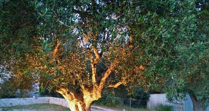 Nur 3 km von der berühmten Bucht von Fiskardo entfernt