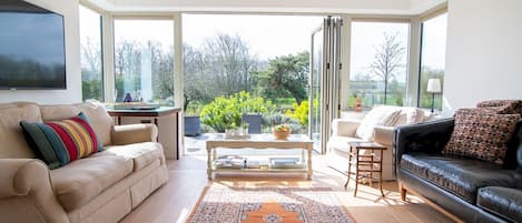 Smart TV, fireplace, DVD player, books