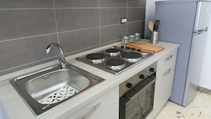 A modern kitchen with a stainless steel sink, a gas stove, an oven, and a built-in refrigerator.