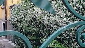 A wrought iron gate with a spiral design, a brick building in the background, and a bush with white flowers in the foreground.