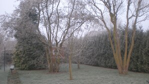 Une cour arrière gelée, avec une clôture en bois, un petit abri de jardin et des arbres sans feuilles.