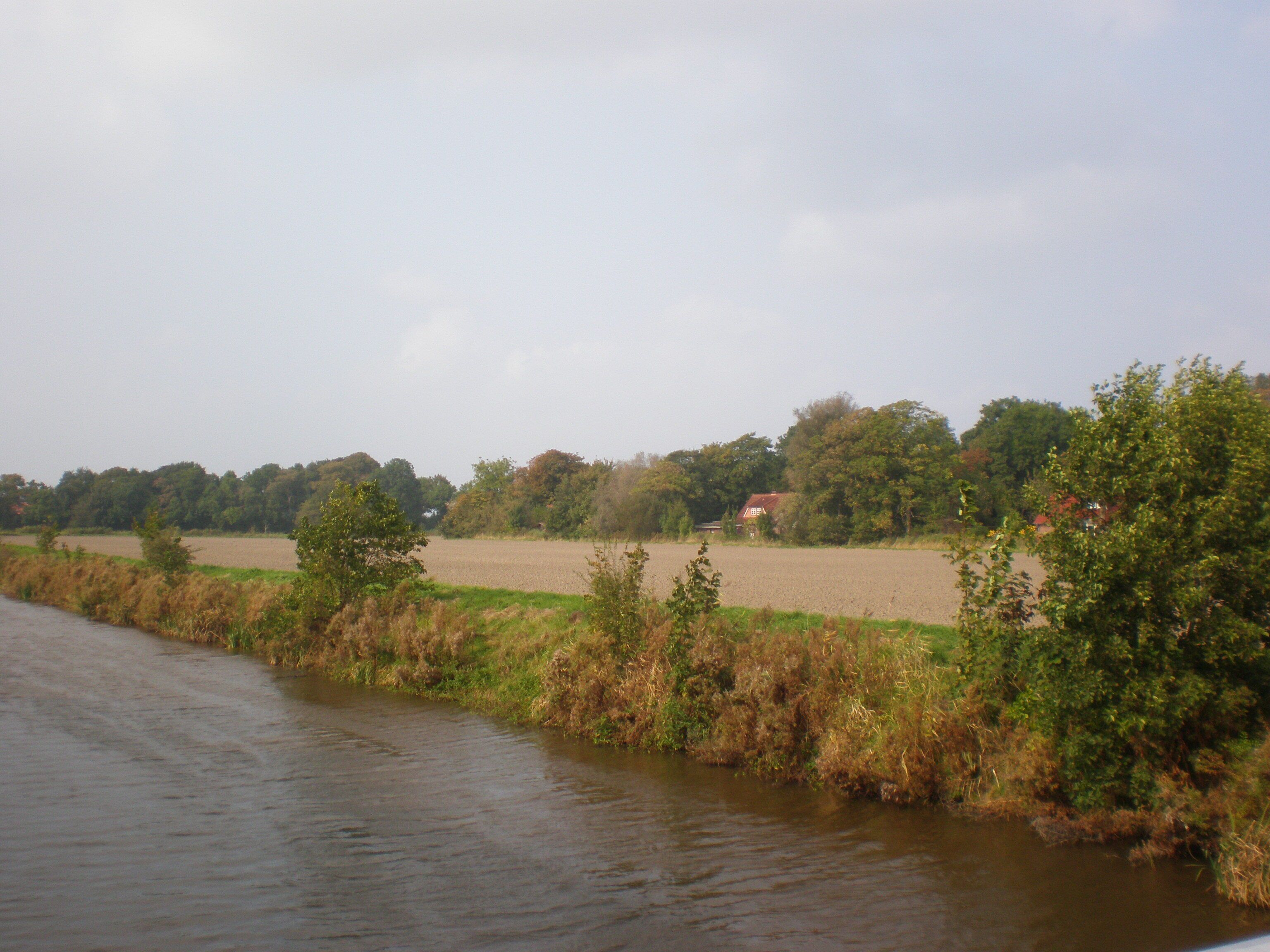 Un río con un campo y árboles al fondo.