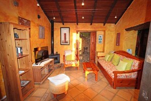 TV, fireplace, DVD player, books