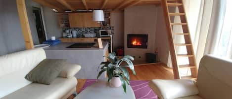 Smart TV, fireplace, DVD player, books