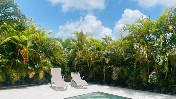 A swimming pool with two lounge chairs, surrounded by lush tropical foliage.