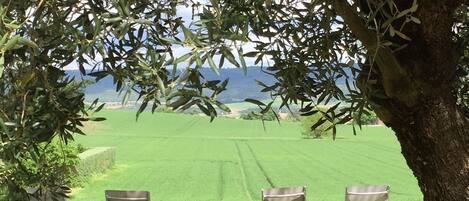 施設の敷地