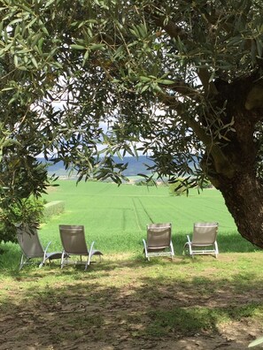 A tree-lined outdoor seating area with three metal chairs facing a lush green field. - Charming new cottage in a farmhouse in Lurs between Luberon and Verdon (Lurs)
