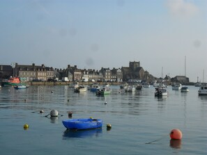 A harbor with various boats and a town in the background.