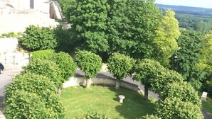 A courtyard with a large tree, a stone wall, and a building with a tower in the background.