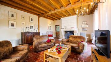 Télévision, cheminée, jeux vidéo, lecteur de DVD