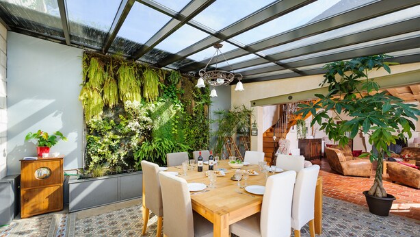 A spacious room with a wooden dining table set for six, surrounded by white chairs. A large potted plant is in the foreground, and a variety of greenery adorns the walls.