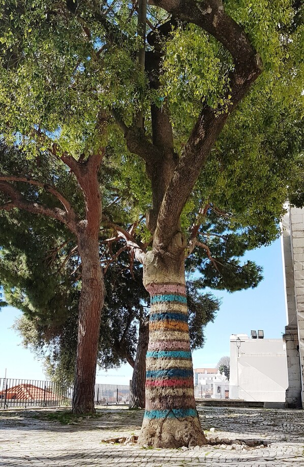 Terrein van de accommodatie
